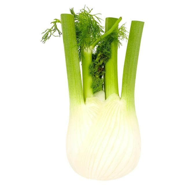 Sainsbury's Fennel Loose - gallery image 1