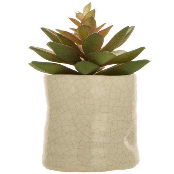 Sainsbury's Home Bohemian Traveller Faux Single Succulent in Ceramic Pot - gallery image 1