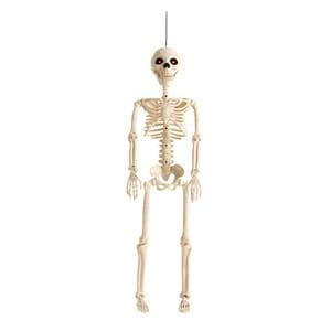 Sainsbury's Home Animated Skeleton