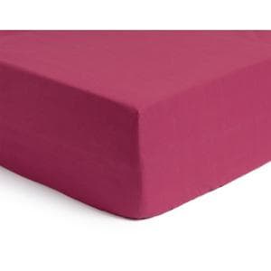 Habitat Cotton Rich 180 TC Fitted Sheet - Plain Berry - Single