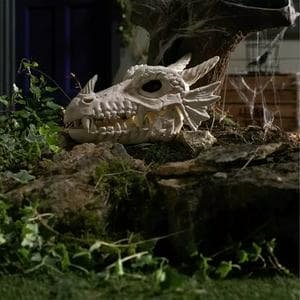 Sainsbury's Home Dragon Skull