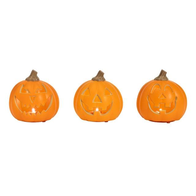 Sainsbury's Home Mini Pumpkins Assortment - gallery image 1