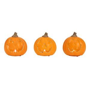 Sainsbury's Home Mini Pumpkins Assortment