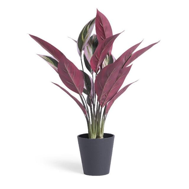 Habitat Artificial Large Stromanthe Tricolor Plant - gallery image 1