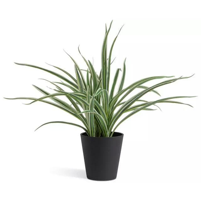 Sainsbury's Home Large Faux Spider Plant - Green - gallery image 1