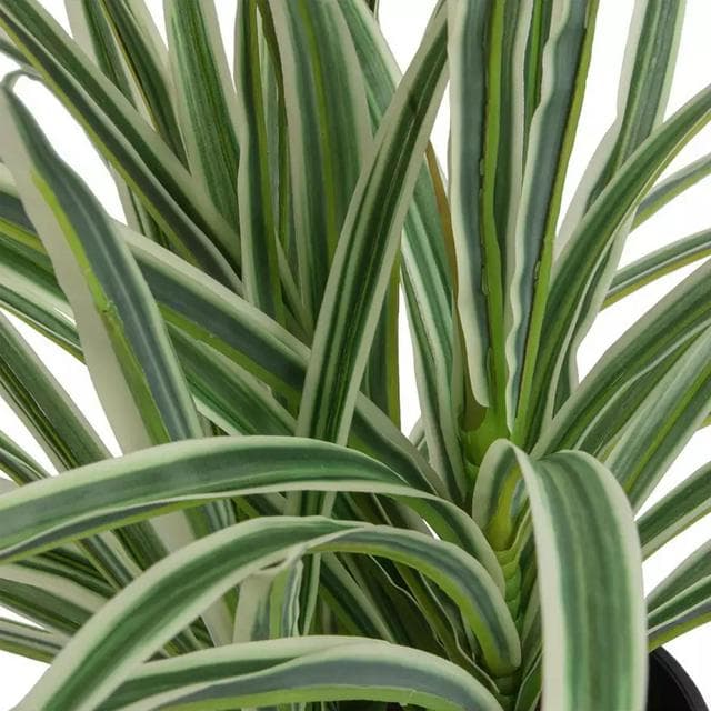 Sainsbury's Home Large Faux Spider Plant - Green - gallery image 3