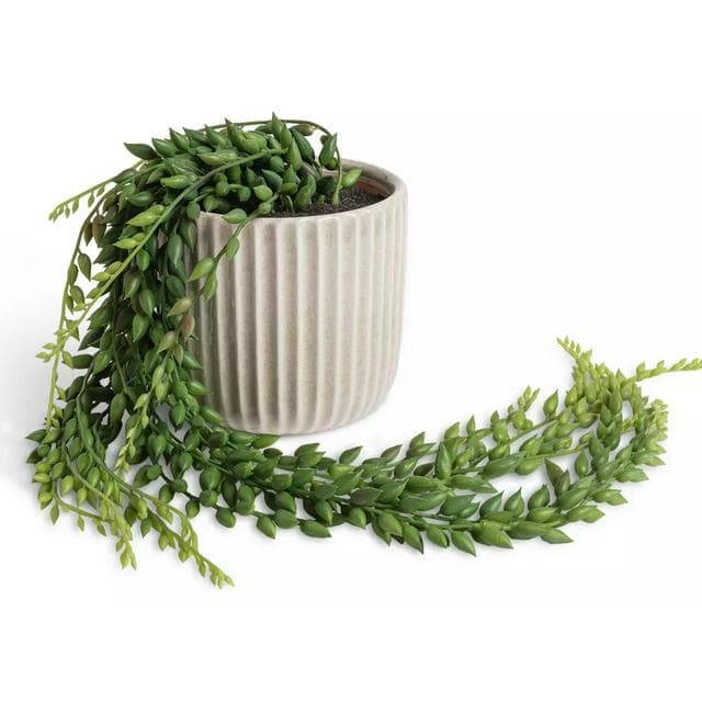 Habitat Artificial Trailing Plant in Ribbed Ceramic Pot - gallery image 1
