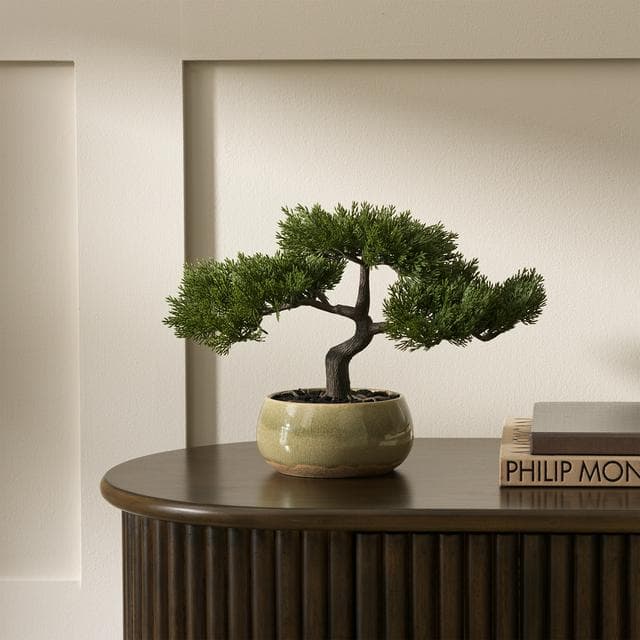 Sainsbury's Home Bonsai Tree in Ceramic Glaze Pot - gallery image 2