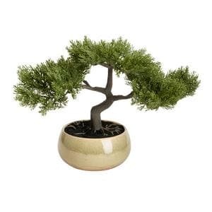 Sainsbury's Home Bonsai Tree in Ceramic Glaze Pot
