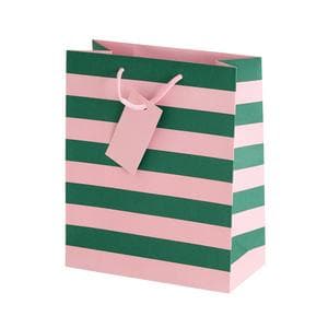 Sainsbury's Home Green & Pink Stripe Medium Bag
