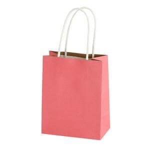 Sainsbury's Home Pink Mini Papertwist Bag