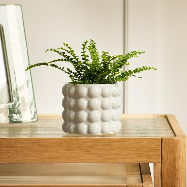 Habitat Stoneware Bobble Small Planter - gallery image 1