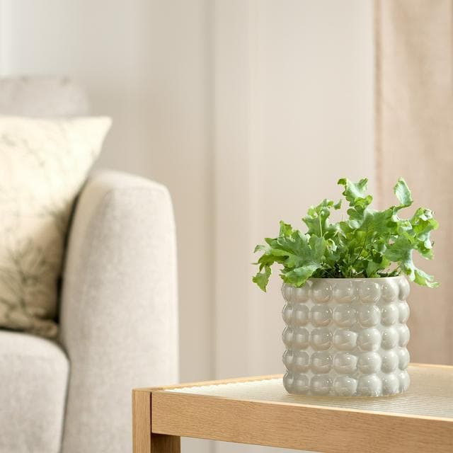Habitat Stoneware Bobble Medium Planter - gallery image 1