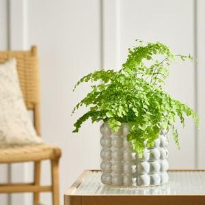 Habitat Stoneware Bobble Large Planter