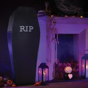 Sainsbury's Home Pop Up Coffin