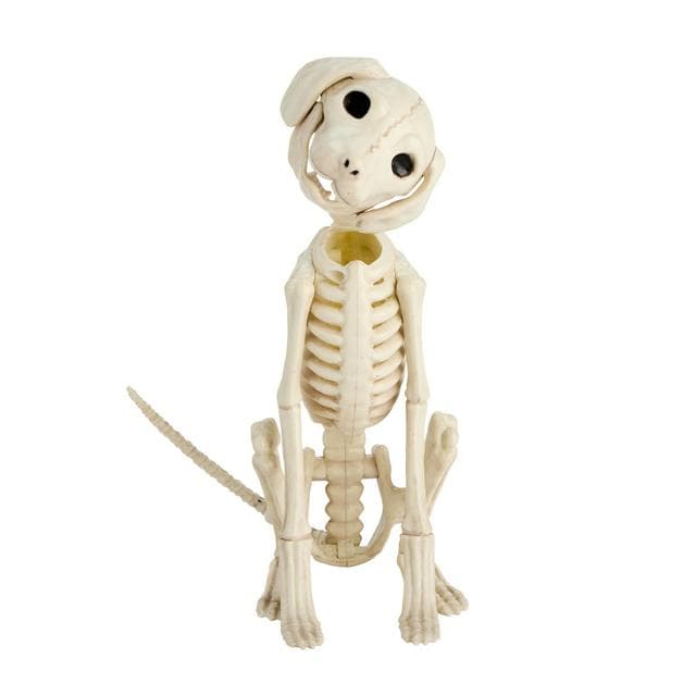 Sainsbury's Home Dog Skeleton - gallery image 1