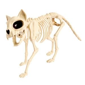 Sainsbury's Home Cat Skeleton