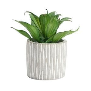 Sainsbury's Home Artificial Agave Succulent in Cement Pot