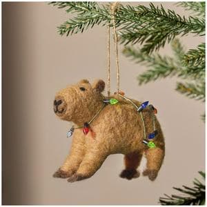 Sainsbury's Home Capabara Hanging Decoration