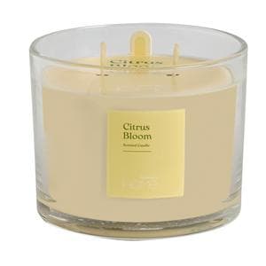  Sainsbury's Home 300g Candle - Citrus Bloom