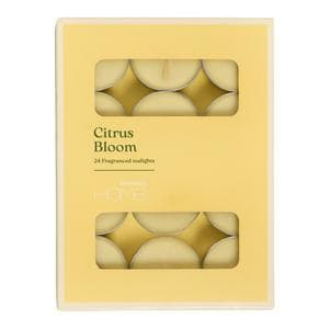 Sainsbury's Home Pack of 24 Tealights - Citrus Bloom