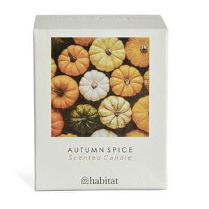 Habitat Autumn Spice Boxed Candle