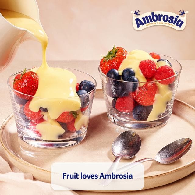 Ambrosia Devon 400g Custard Dessert Can - gallery image 5