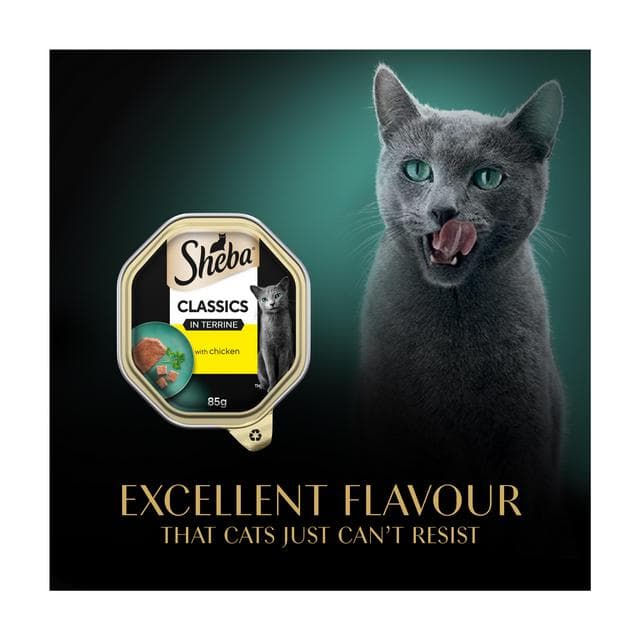 Sheba Classics Chicken in Terrine Wet Cat Food Tray 85g - gallery image 6