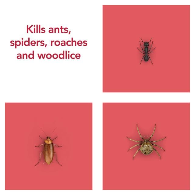 Raid Ant & Cockroach Insect Killer Aerosol Spray 300ml - gallery image 3
