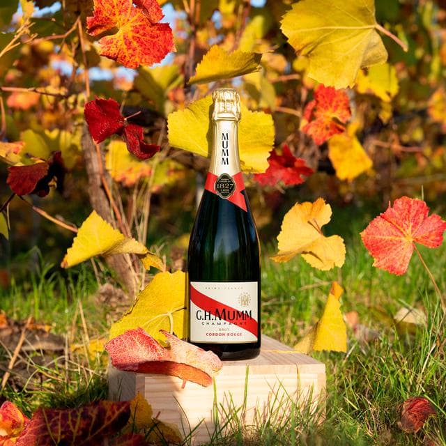 Mumm Cordon Rouge Champagne Brut, Non Vintage 75cl - gallery image 5