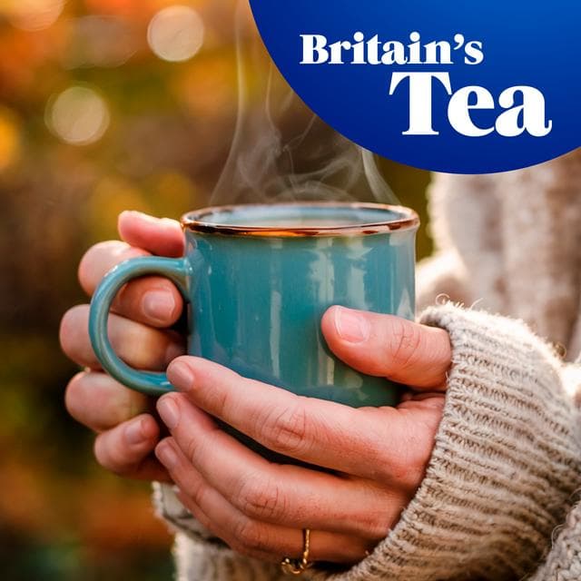 Tetley Softpack Tea Bags x40 - gallery image 3