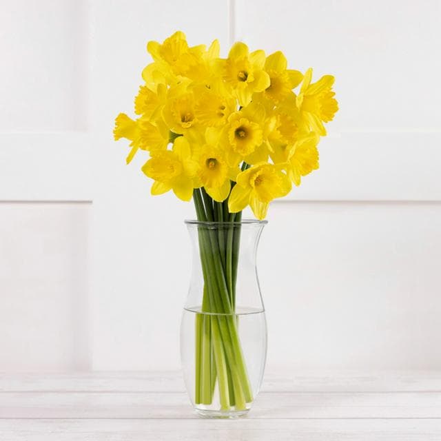 Daffodils - gallery image 1