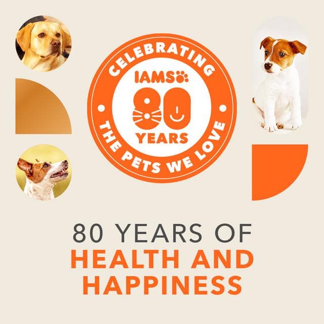 IAMS Small to Medium Puppy & Junior Dry Dog Food 2kg - gallery image 2