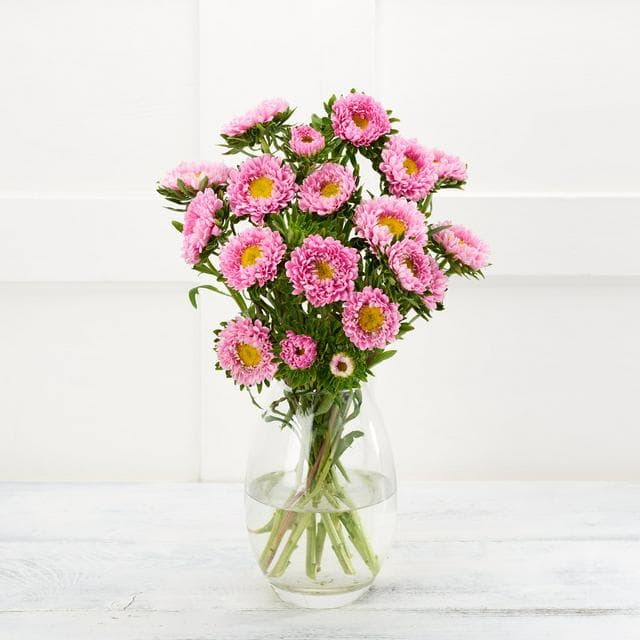 Aster Flowers - gallery image 1
