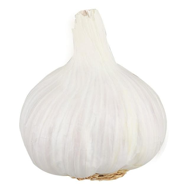 Sainsbury's Garlic - gallery image 1