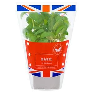 Sainsbury's Fresh Living Basil Pot