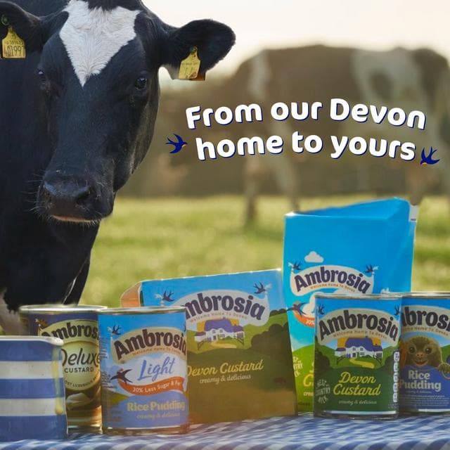Ambrosia Devon 4 x 120g Custard Dessert Snack Pots - gallery image 3