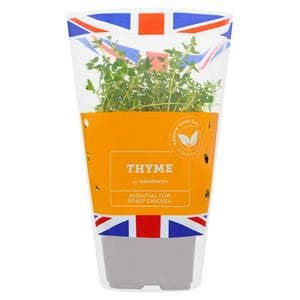 Sainsbury's Fresh Living Thyme Pot