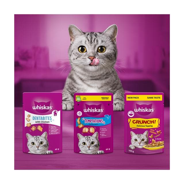 Whiskas Temptations Cat Treat Biscuits with Salmon Flavour 60g - gallery image 5
