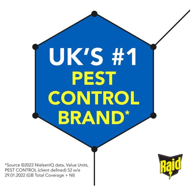 Raid Fly, Wasp & Mosquito Killer 300ml - gallery image 2