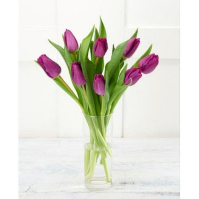Sainsbury's Autumn Tulips - gallery image 1
