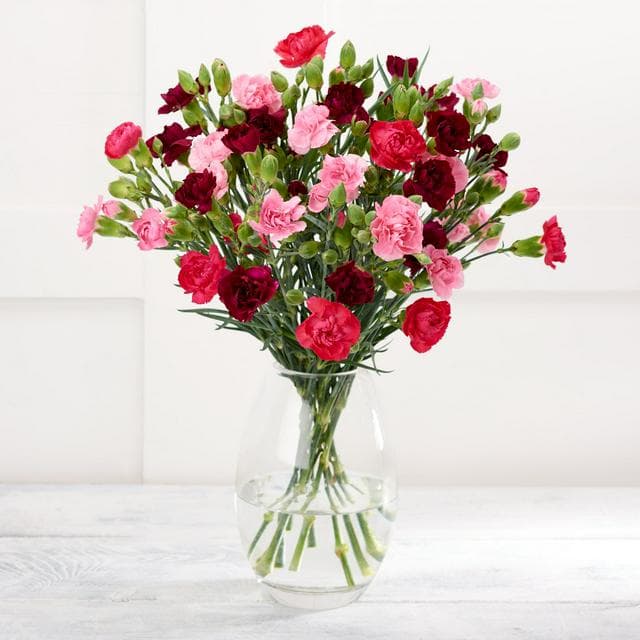 Mixed Spray Carnations - gallery image 1