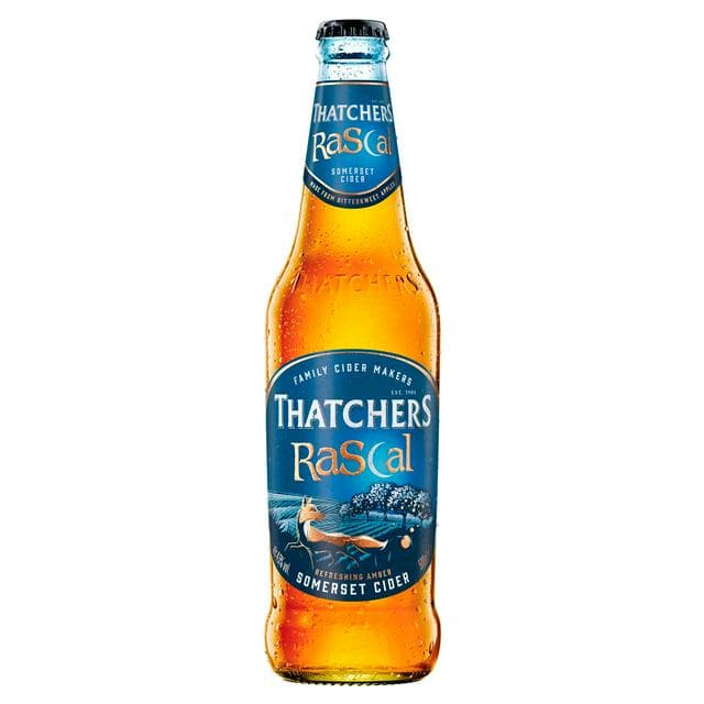 Thatchers 500ml Rascal Apple Cider - gallery image 1