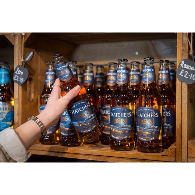 Thatchers 500ml Rascal Apple Cider - gallery image 5