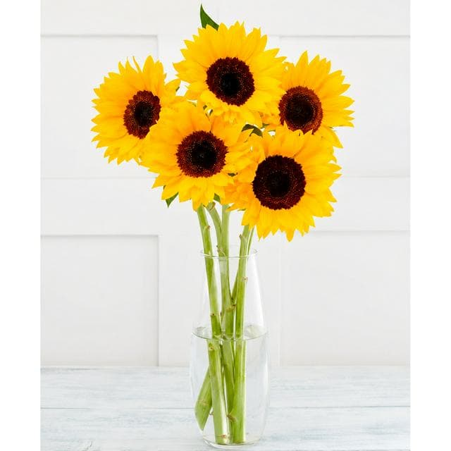 Simply Sunflowers - gallery image 1