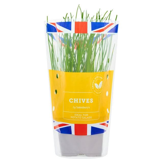 Sainsbury's Fresh Living Chives Pot - gallery image 1