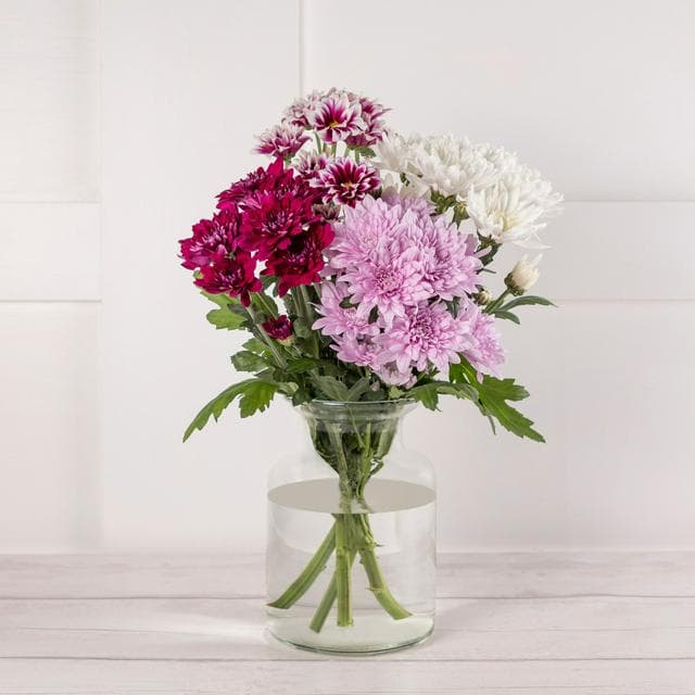 Pink Chrysanthemums - gallery image 1