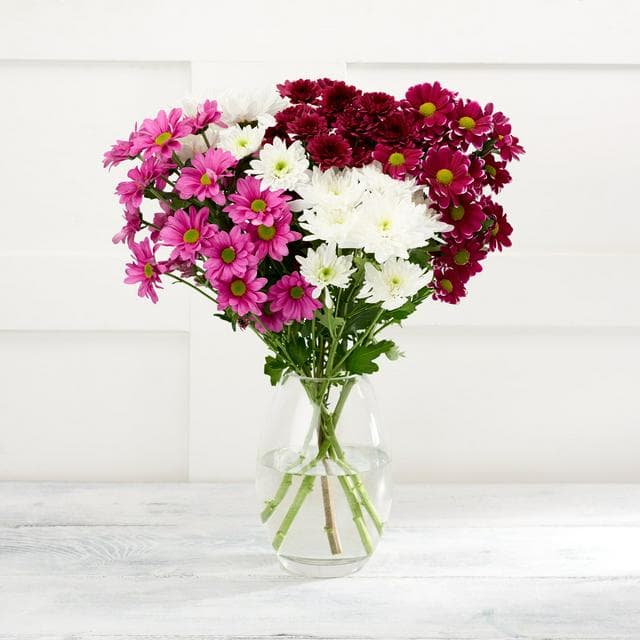 Pink Chrysanthemums - gallery image 1