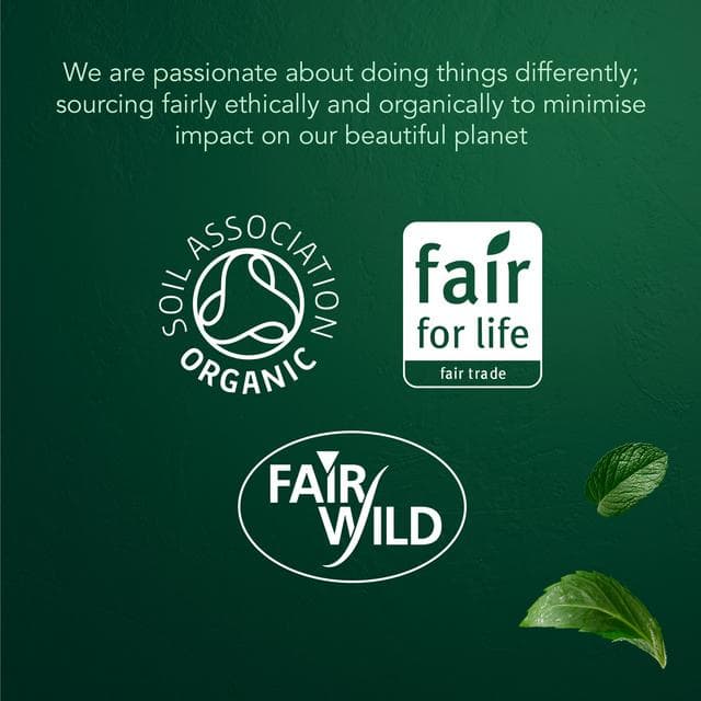 Pukka Organic Three Mint Tea With Peppermint Home Compostable Herbal Tea Bags x20 - gallery image 5
