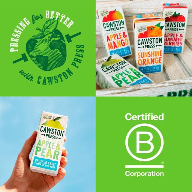 Cawston Press Apple & Pear Juice 3x200ml - gallery image 3